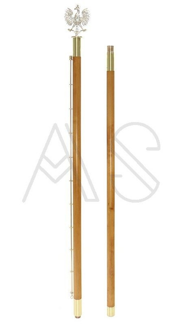 Bâton pour la Étendard DSZ-01-G 2,7kg